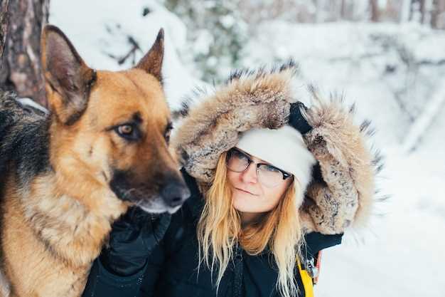 Östsibirisk schäfer - Allt du behöver veta om pälsvård och omsorg