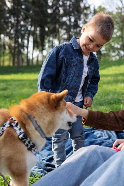 Socialisering av östsibirisk schäfervalp Tips för en trygg och balanserad hund